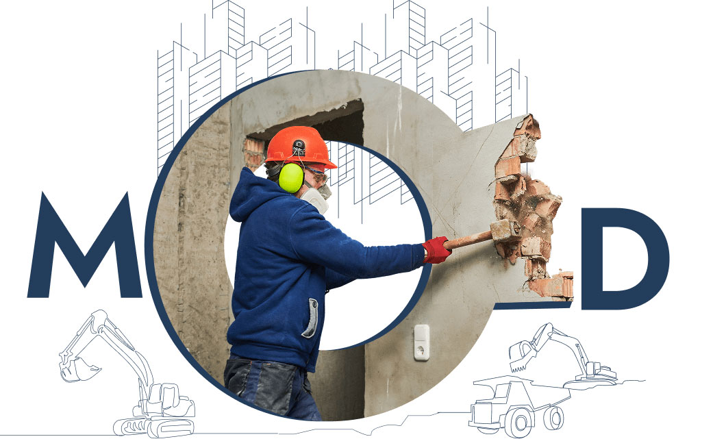 Demolition Company
