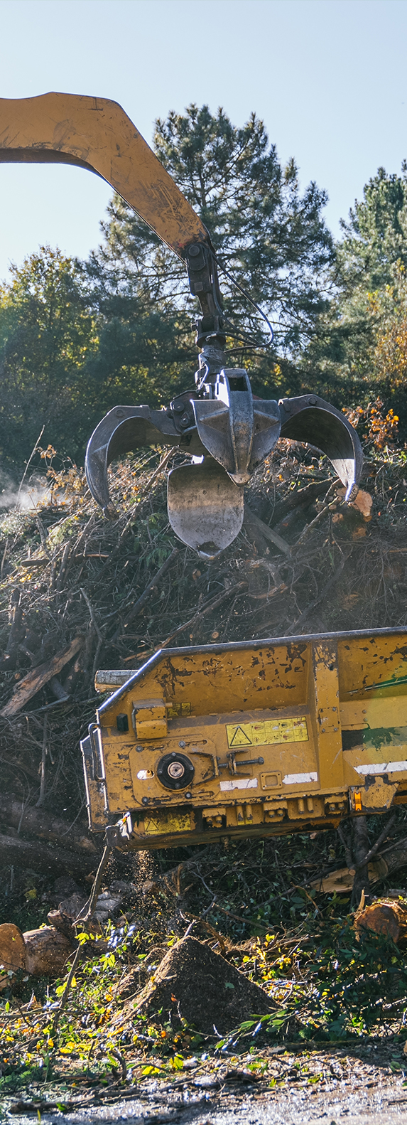 Land Clearing Process From Forest to Foundation