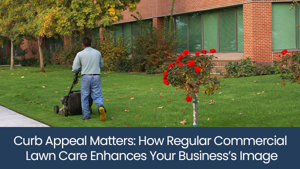 Curb appeal matters: How regular commercial lawn care enhances your business’s image